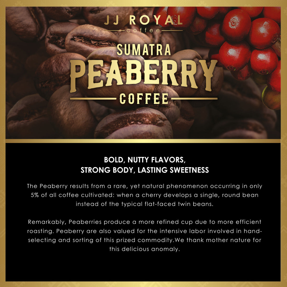 コーヒー SUMATRA KING GAYO PEABERRY 100GR SUMATRA KING GAYO PEABERRY 100GR