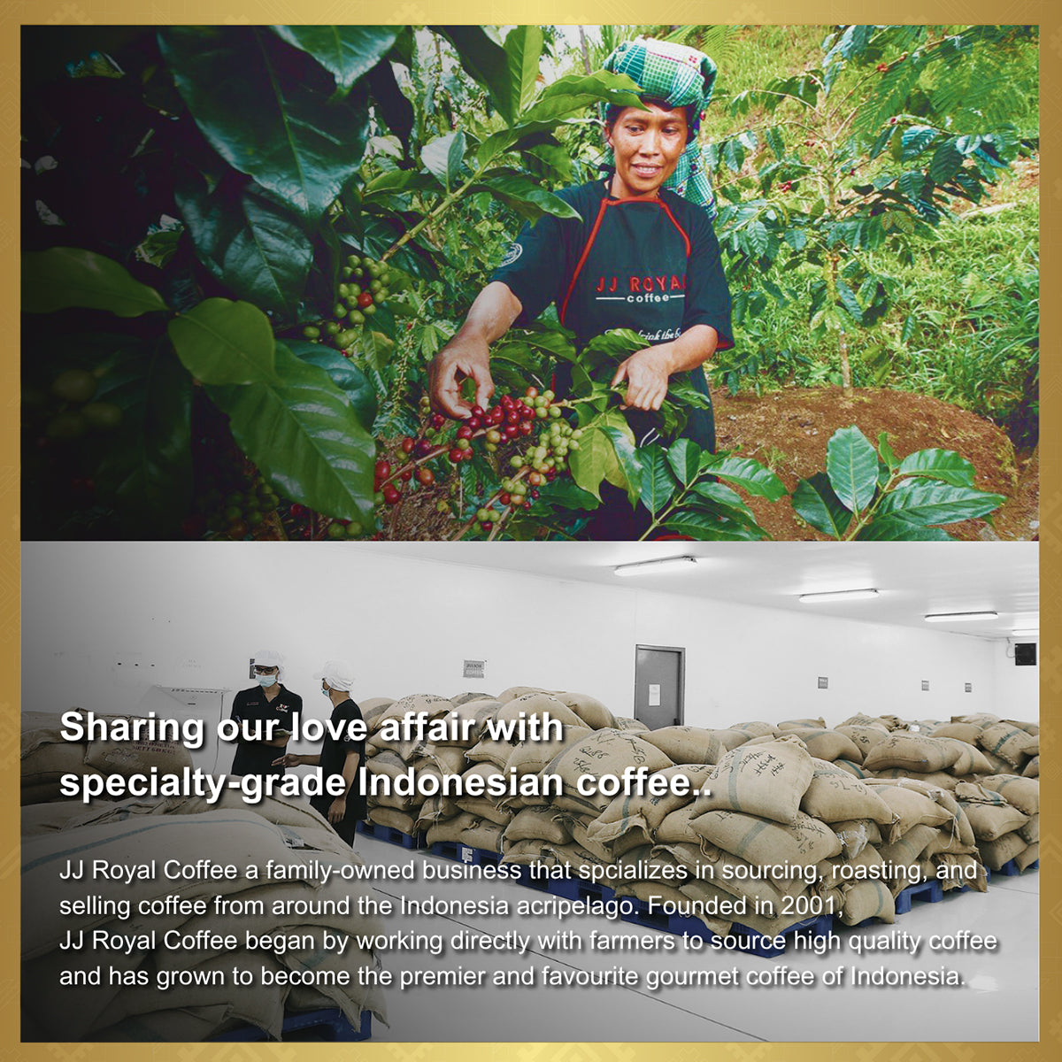 Java Preanger Single Origin Arabica Coffee | JJ Royal Coffee Singapore
